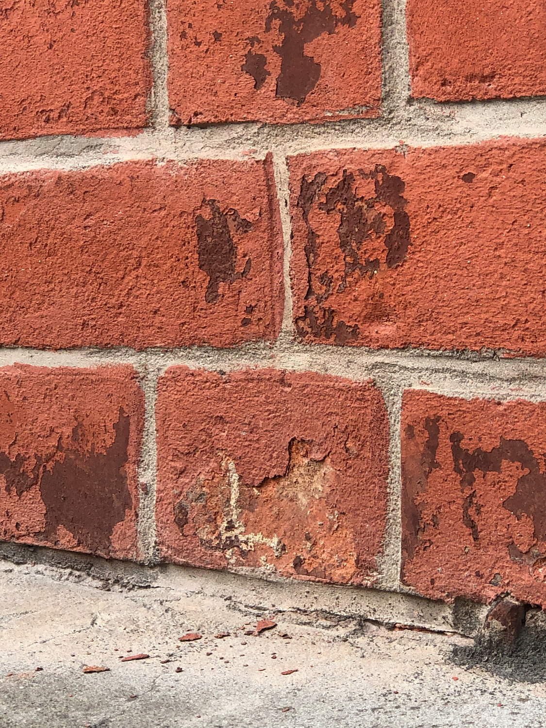 #фкрпланы в Гусеве